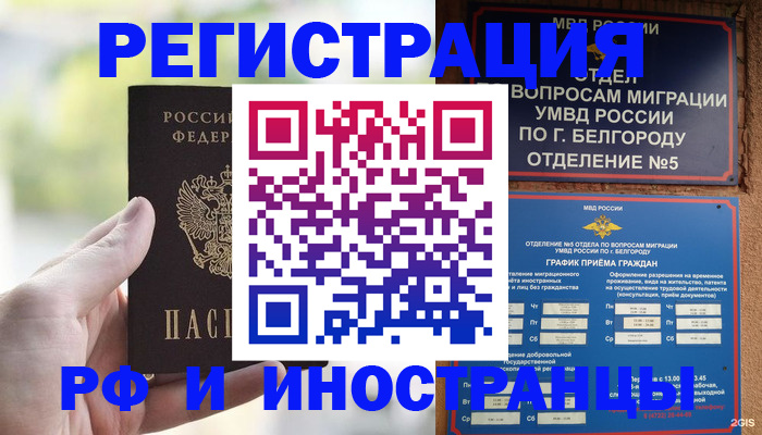 прописка поиск в Курске